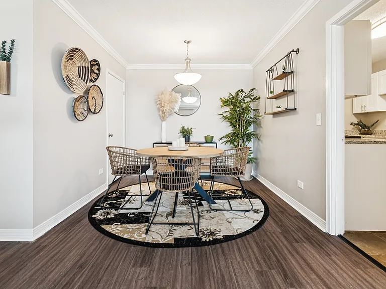 Sunny apartment kitchen and living area